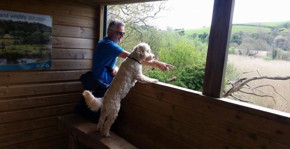 Spring wildlife in South Devon - Slapton Ley Nature Reserve