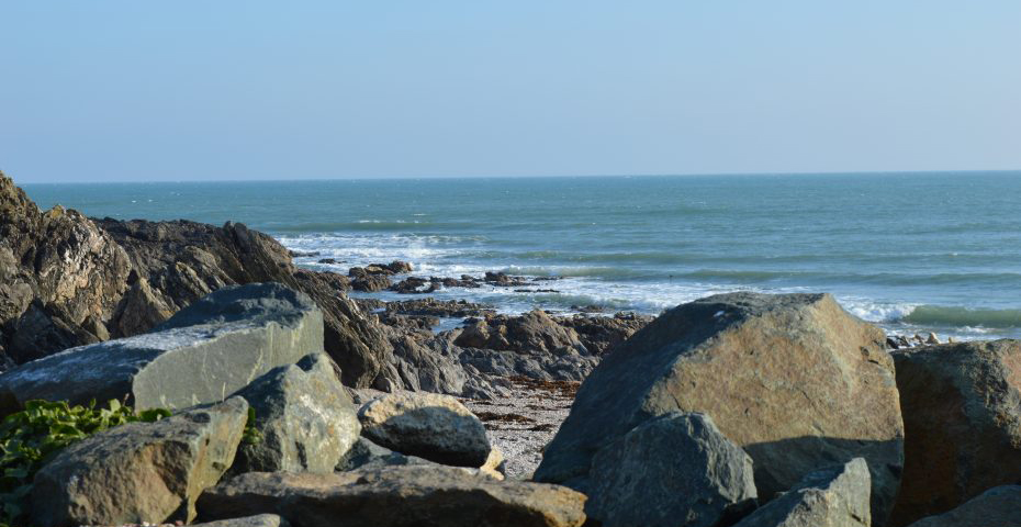 South Devon wildlife in spring