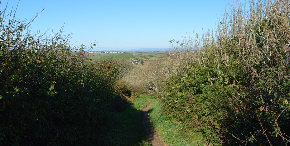 Path above Overbecks