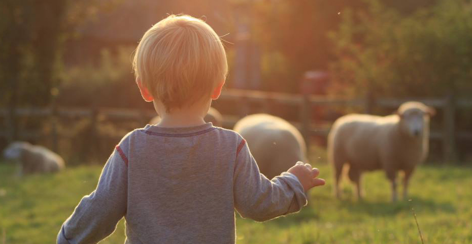 South Devon wildlife in spring
