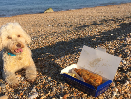 Best fish and chips devon