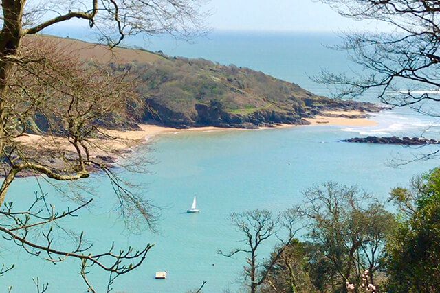 Salcombe things to do