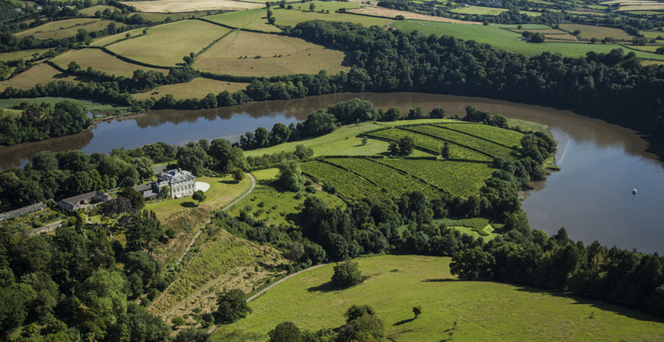 Exploring the River Dart from the water - Sharpham Vineyard