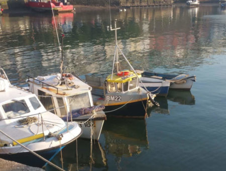 Brixham South Devon village guide _feature image