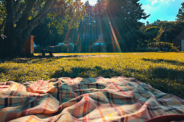 picnic blanket on grass.