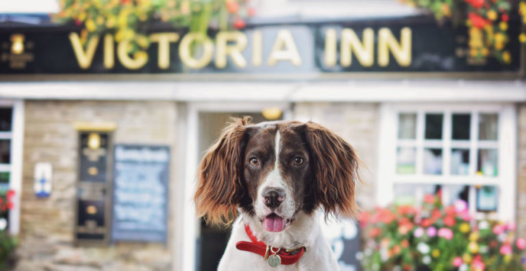 Dog friendly pubs in South Devon Coast & Country Cottages