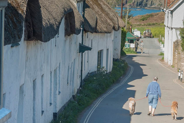 The Sloop Inn at bantham, dogs and owner walking down the lane outside.