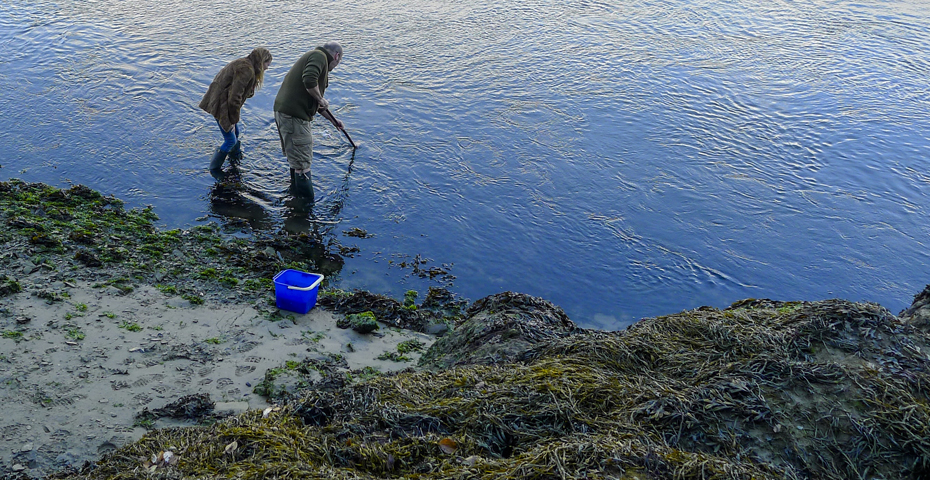 South Devon wildlife in spring