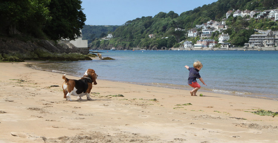 dog friendly south devon