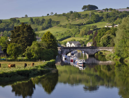 Things to do in Totnes - Totnes town