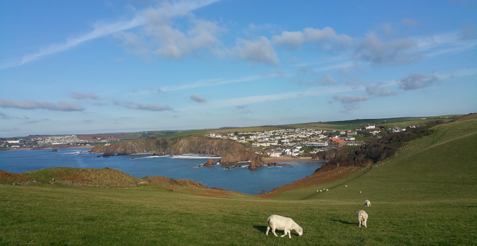 things to do in South Devon