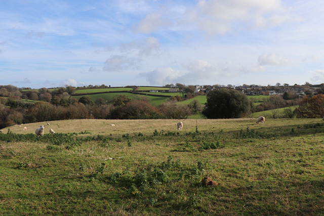 East Allington Countryside