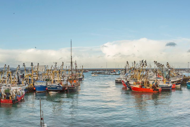Boats in brixham harbour on a sunny day
