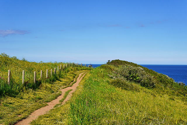South West Coast Path - Berry Head Brixham