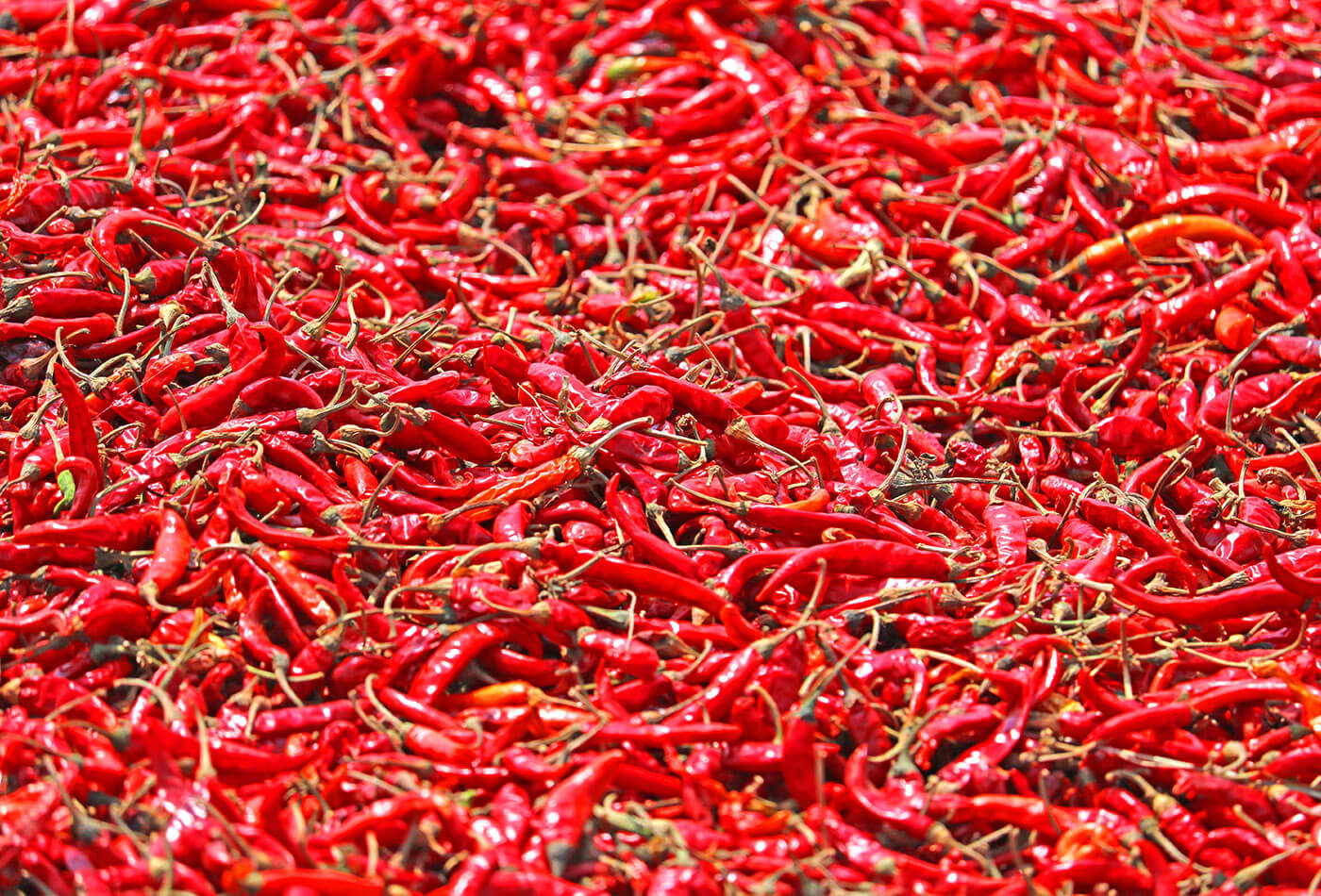 chillies - meet the producer