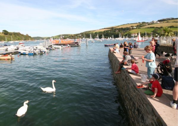 Things to do in Salcombe - fishing for crab