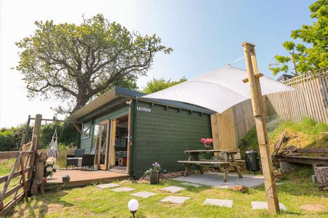 A green-painted wooden cabin with a tree behind it, on a sunny day