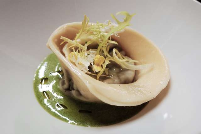 Close up of a beautifully presented oyster in a green sauce, on a white plate