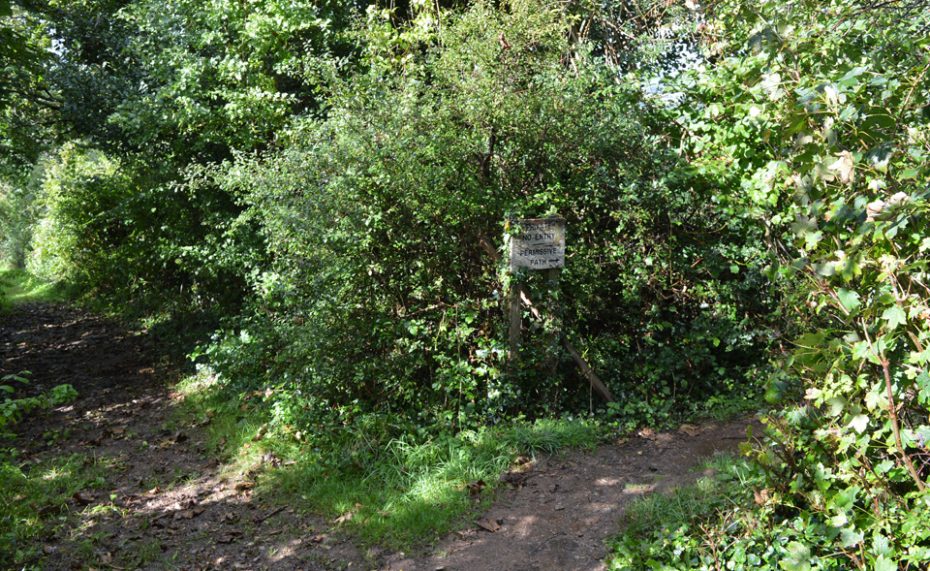 A right turn on the way to Greenway