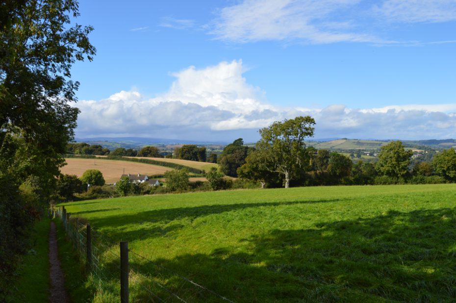 A footpath on the edge of a beautiful field on the way to Greenway