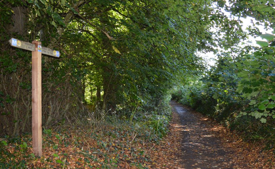 The path to Greenway