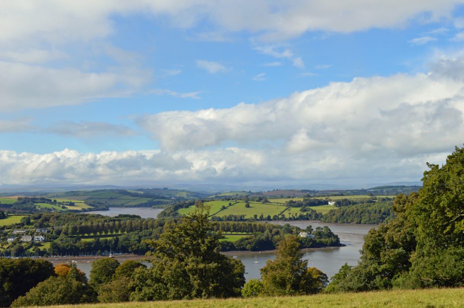 Down the field towards Greenway House and the Dart Valley