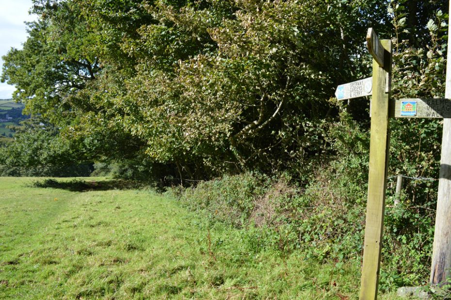 Head towards Greenway or Galmpton