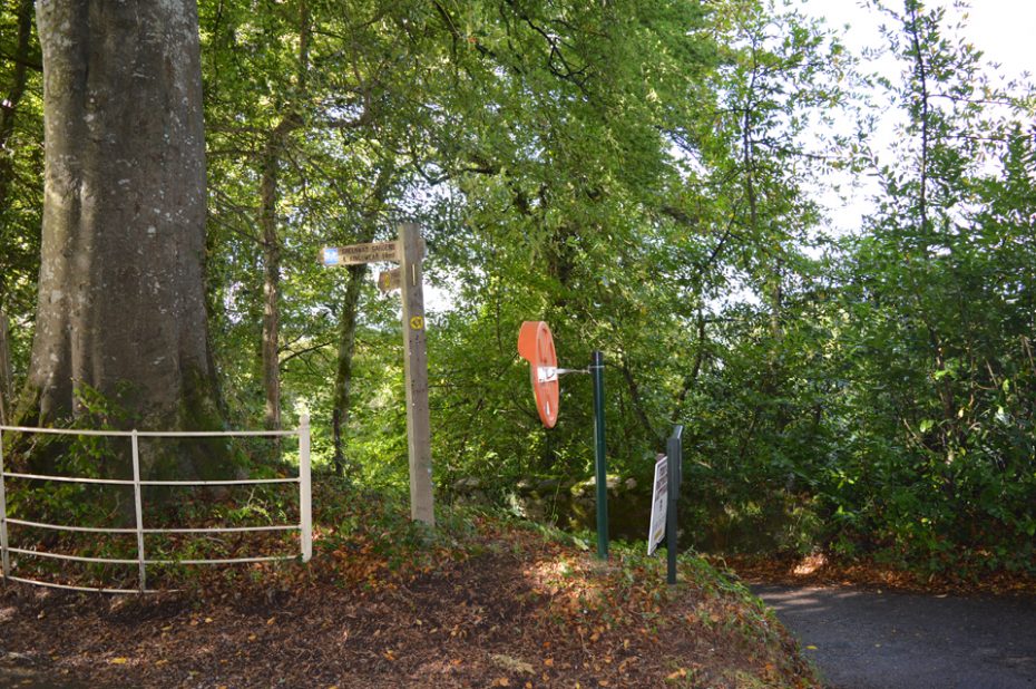 Turn left towards Greenway Quay