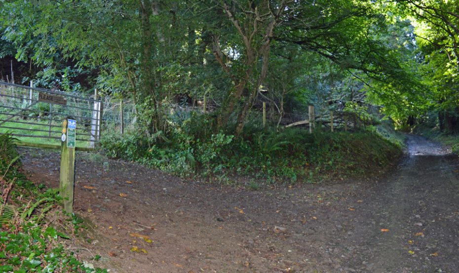 A left turn into the fields above Dittisham