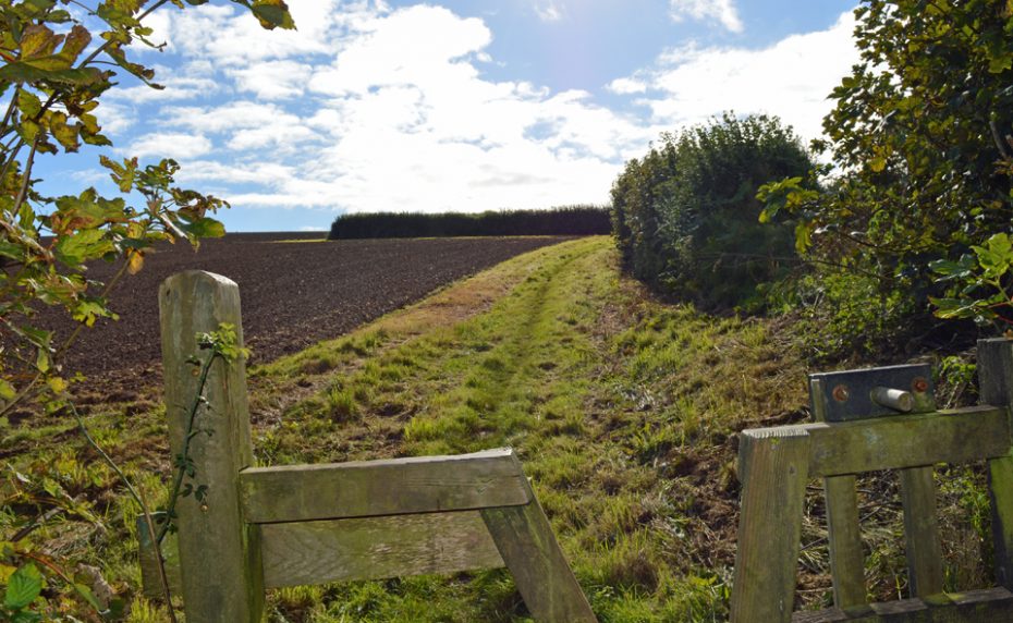 Go over this turnstile beyond Dittisham