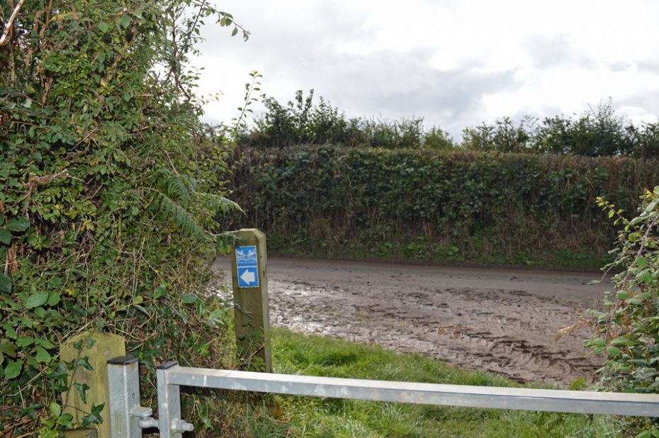 Turn left to rejoin the road on the Dart Valley Trail