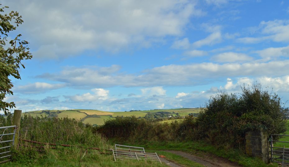 Green Lane towards Old Mill Creek