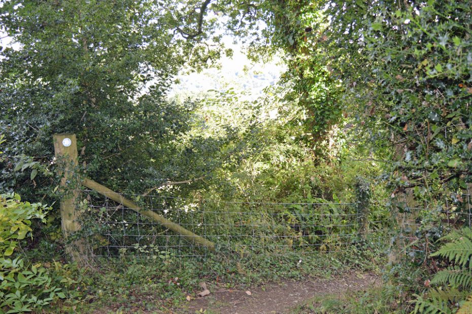 A footpath off Green Lane