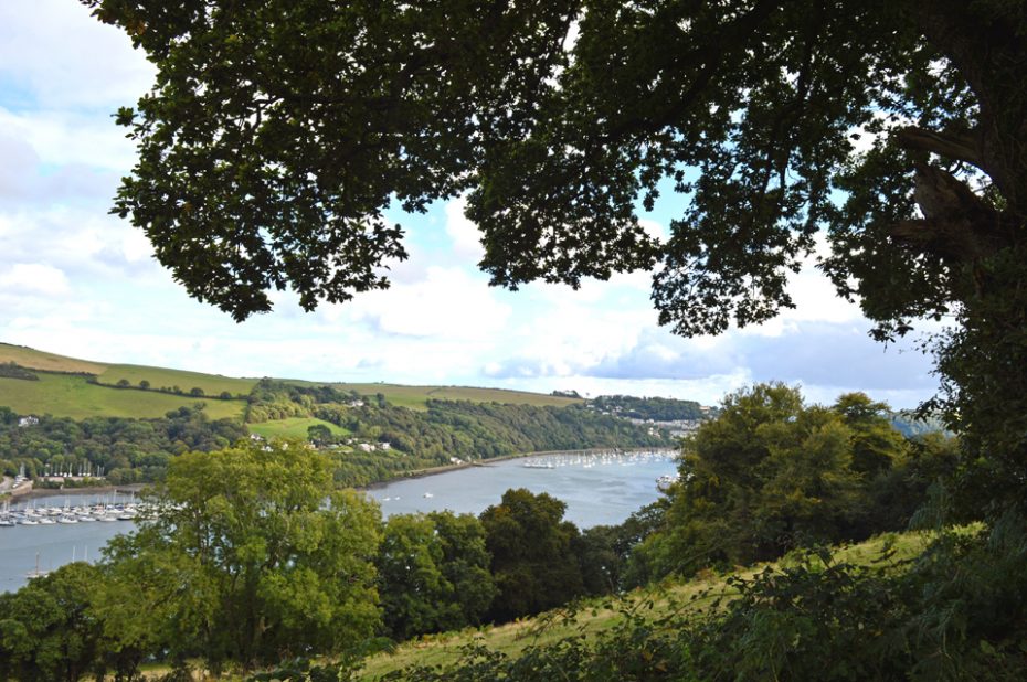View of the valley above Old Mill Creek