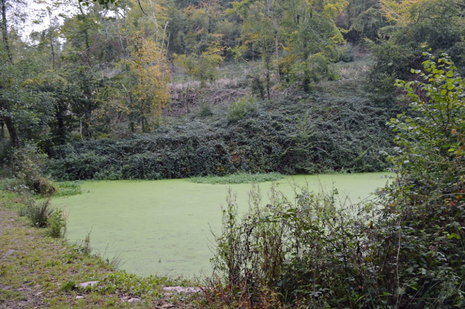 41-the-lake-by-the-dart