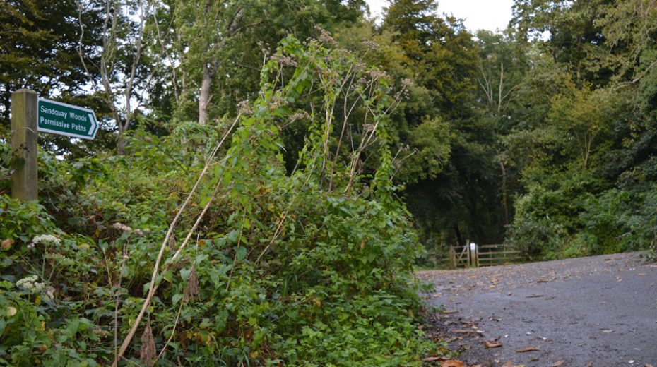 Heading towards Townstal at the top of Dartmouth
