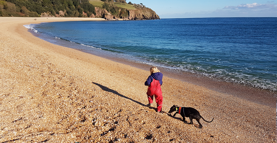 dog friendly south devon