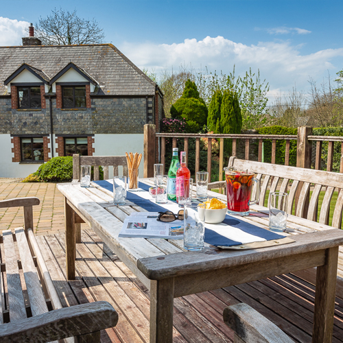 6 of the Best Vegetarian Restaurants in South Devon South Devon guide