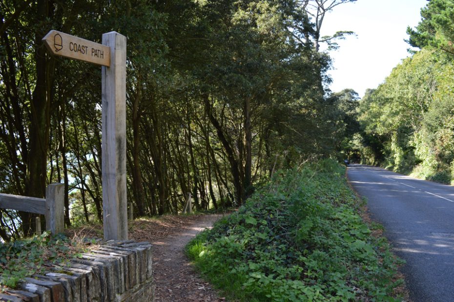 The wooded path running along the A379 towards the beach