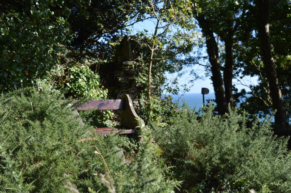 A lovely 'hidden' bench above Blackpool Sands