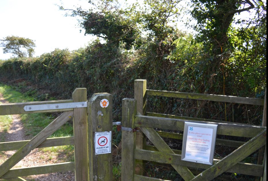 The gate at the end of Little Dartmouth car park
