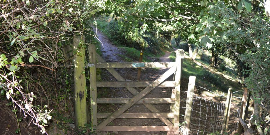 Go through this gate which leads left to Little Dartmouth and right towards Compass Cove