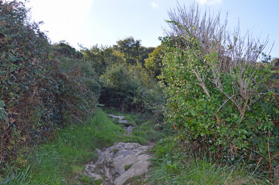 Uneven uphill terrain on the way to Sugary Cove