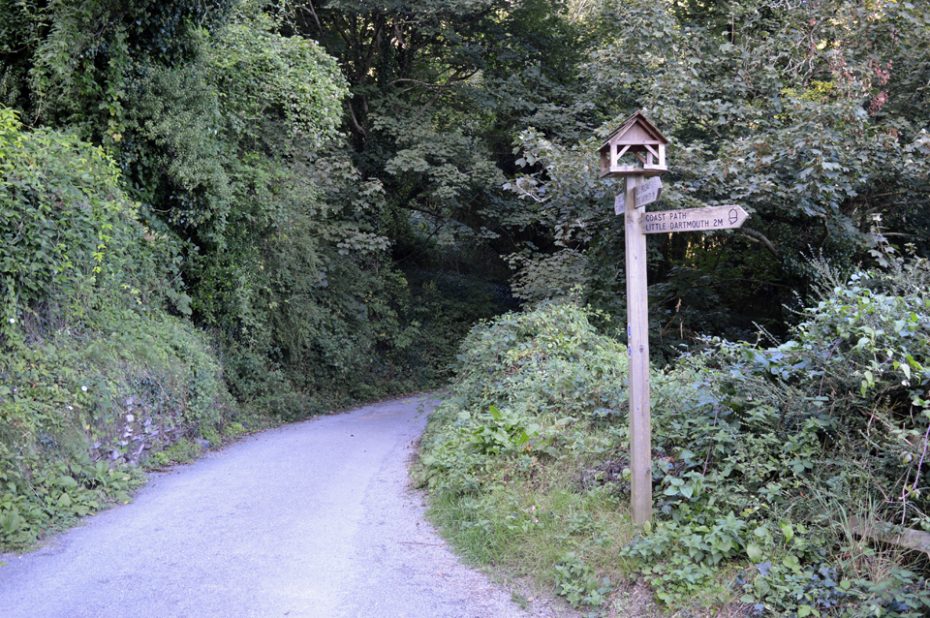 Downhill from Compass Cottage