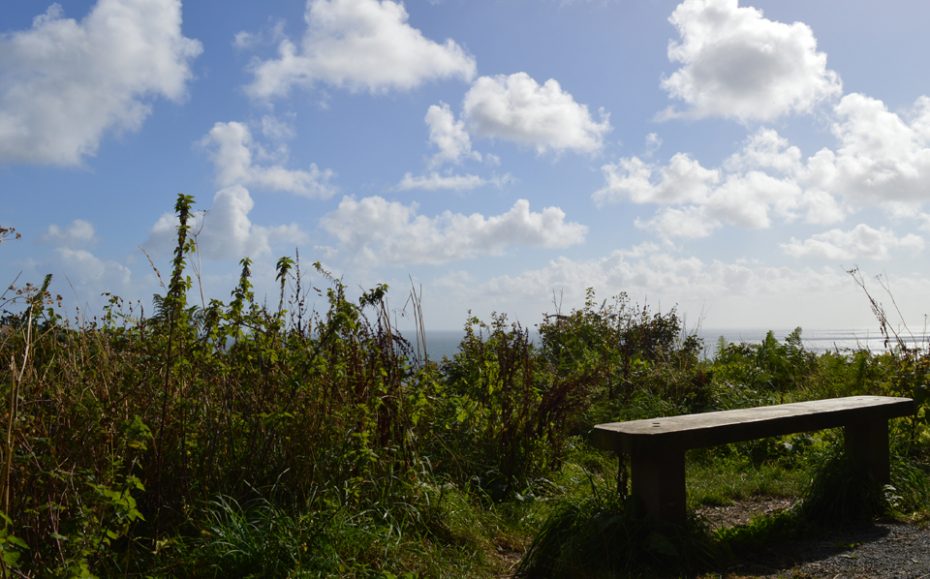 The bench by Compass Cottage