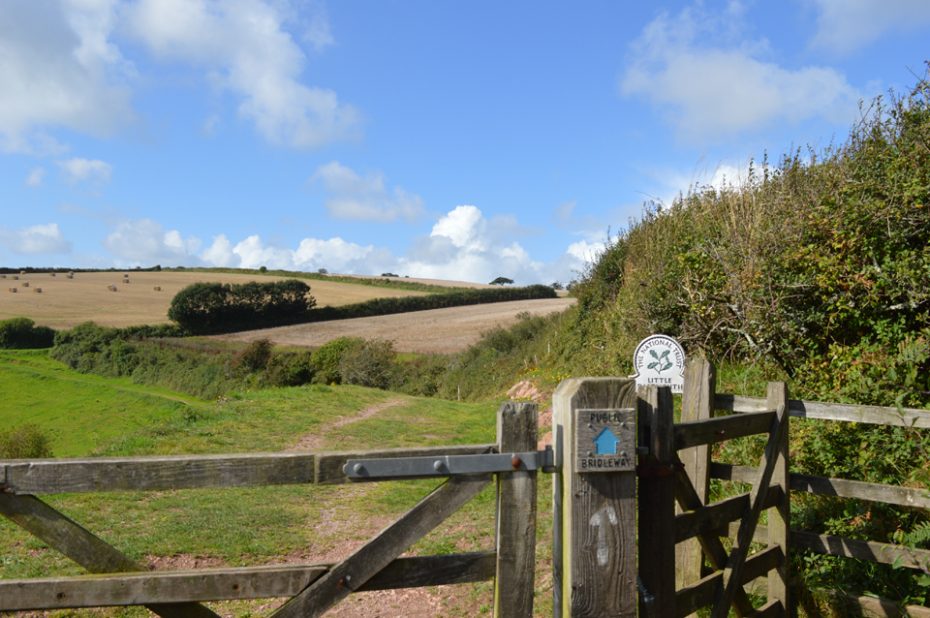 The kissing gate at Little Dartmouth