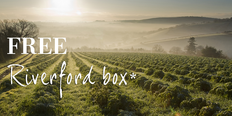 South Devon cookbook Riverford