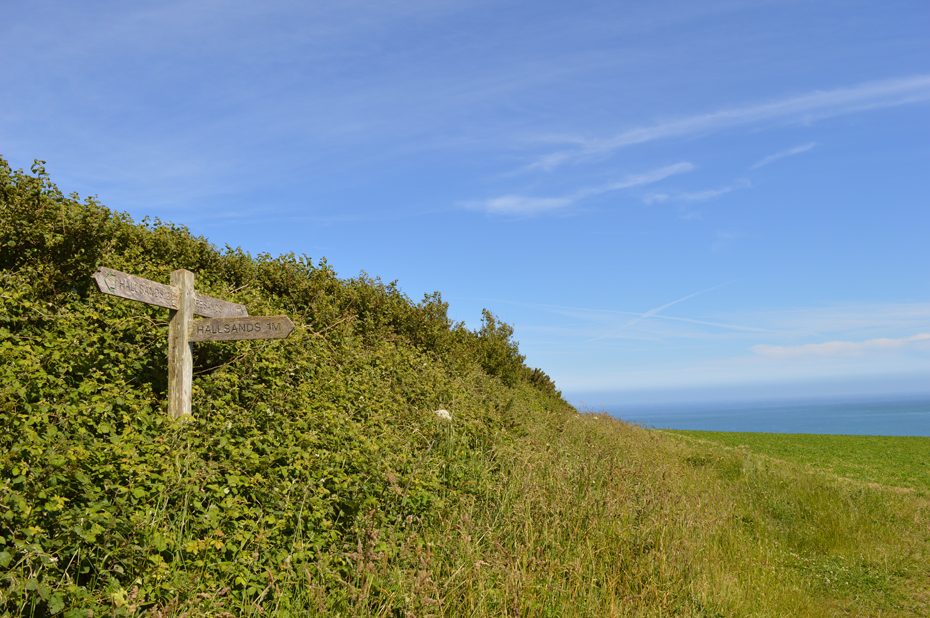 Stick to the left at this section of Coast Path by Hallsands